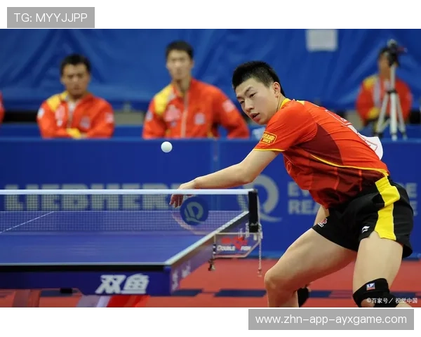 太阳团队在比赛最后阶段完成逆转胜出